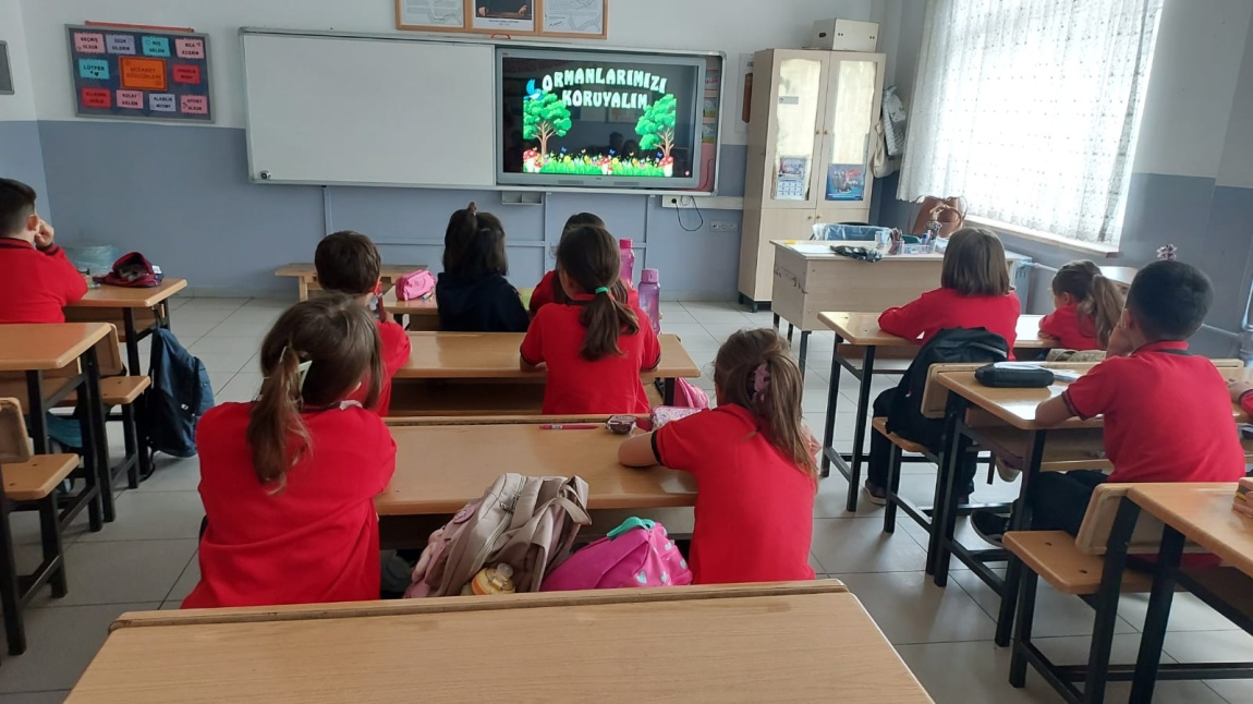 YEŞİL VATAN-BENİM OKULUM GELECEĞE ÇARE